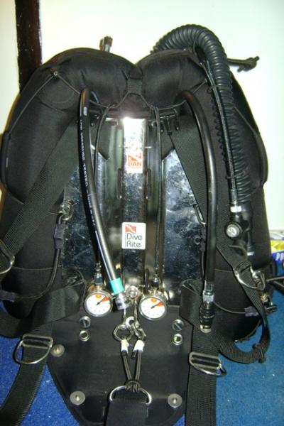 3. Harness with wing and buttplate attached