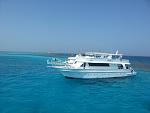 Amazing diving The red Sea