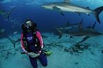 Stuart Cove's Shark feeding, Nassau, Bahamas