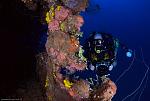 Professor Simon Mitchell, enjoying the Fujikawa Maru