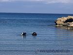 Getting ready to submerge at a confined water site for skills training in Cyprus