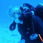 LaWSaC Diver's Avatar