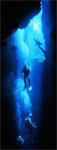 Deep Blue Divers, Phuket's Avatar