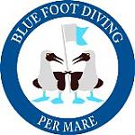 Blue Foot's Avatar